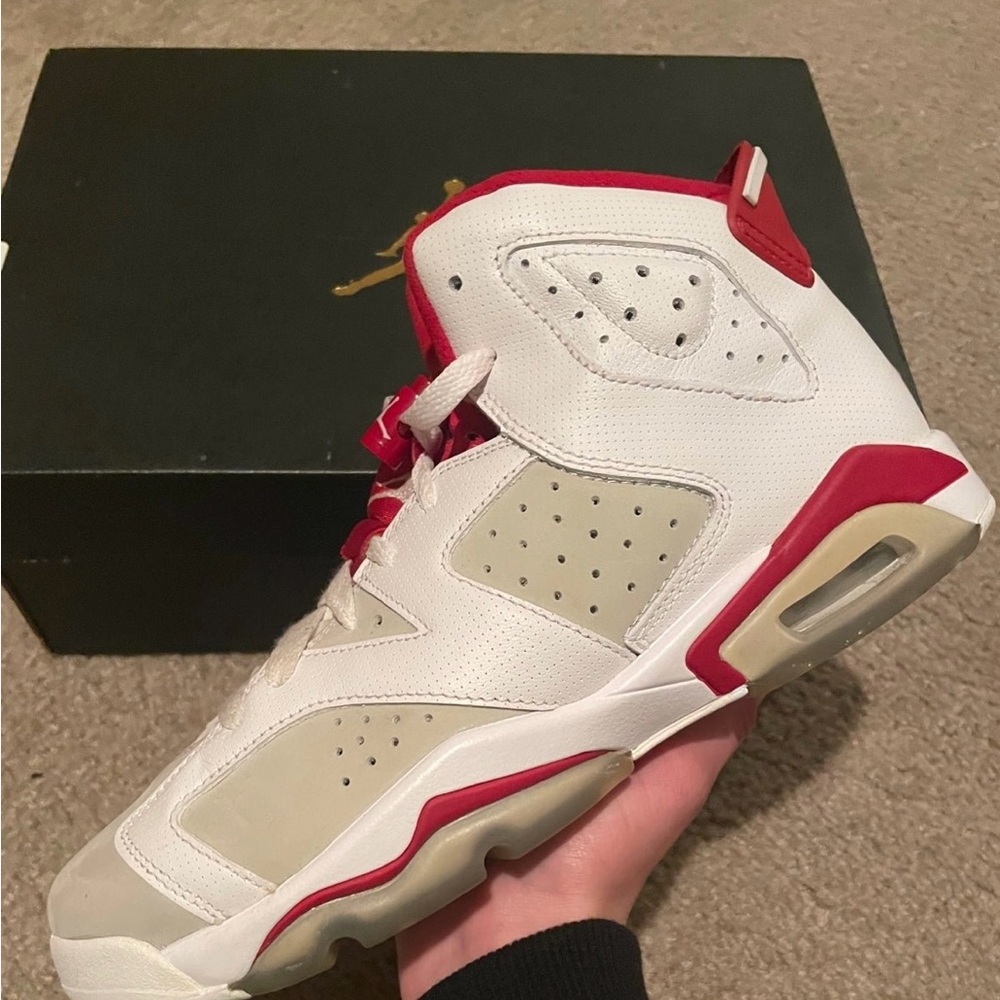 Jordan Air Alternate Hare 6s